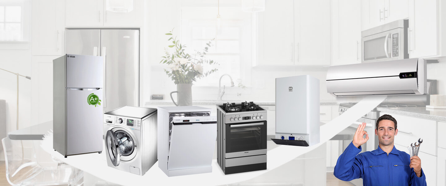 Taşlıçay Gorenje Servisi